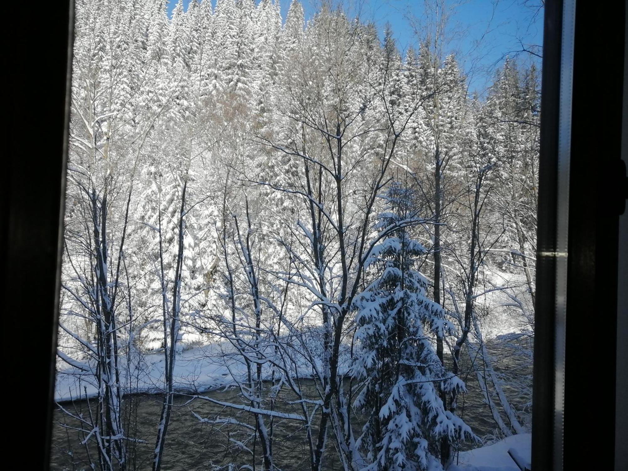 Pensiunea Tora Vatra Dornei Esterno foto