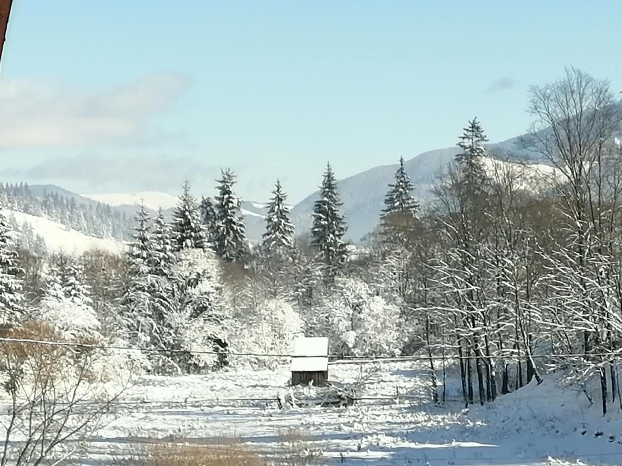 Pensiunea Tora Vatra Dornei Esterno foto