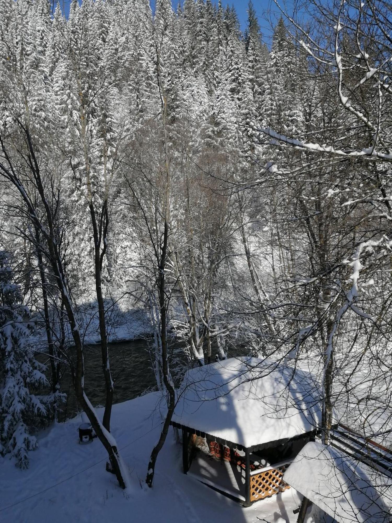 Pensiunea Tora Vatra Dornei Esterno foto