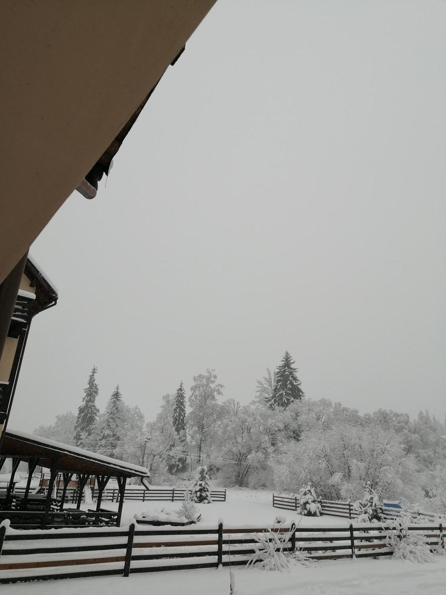 Pensiunea Tora Vatra Dornei Esterno foto